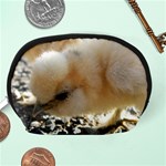 Silkie Chick  Accessory Pouches (Medium)  Back