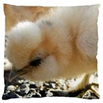 Silkie Chick  Large Flano Cushion Case (One Side) Front