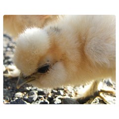 Silkie Chick  Double Sided Flano Blanket (medium) 