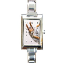 Curious Squirrel Rectangle Italian Charm Watch by FunnyCow