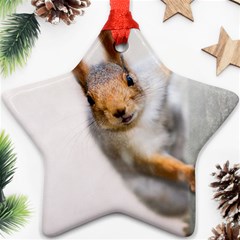 Curious Squirrel Ornament (star) by FunnyCow