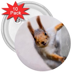 Curious Squirrel 3  Buttons (10 Pack)  by FunnyCow