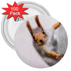 Curious Squirrel 3  Buttons (100 Pack)  by FunnyCow