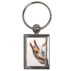 Curious Squirrel Key Chains (rectangle)  by FunnyCow