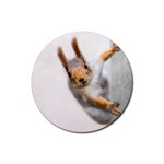 Curious Squirrel Rubber Round Coaster (4 pack)  Front