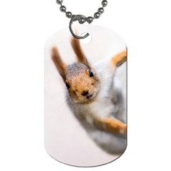 Curious Squirrel Dog Tag (two Sides) by FunnyCow