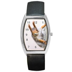 Curious Squirrel Barrel Style Metal Watch