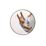 Curious Squirrel Hat Clip Ball Marker Front