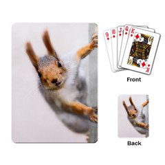 Curious Squirrel Playing Card by FunnyCow