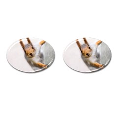 Curious Squirrel Cufflinks (oval) by FunnyCow