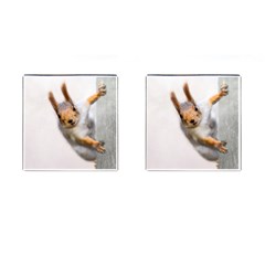 Curious Squirrel Cufflinks (square) by FunnyCow