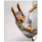 Curious Squirrel Canvas 16  x 20   15.75 x19.29  Canvas - 1