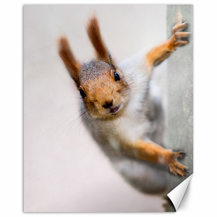 Curious Squirrel Canvas 16  x 20  