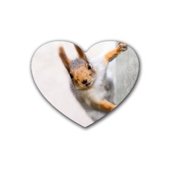 Curious Squirrel Rubber Coaster (heart)  by FunnyCow