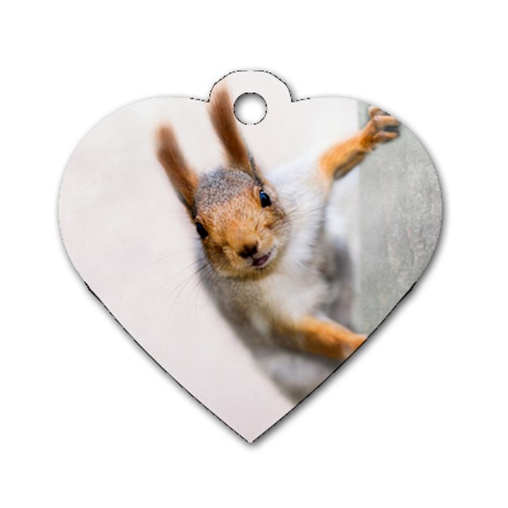 Curious Squirrel Dog Tag Heart (One Side)