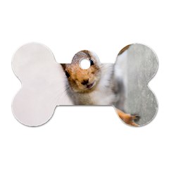 Curious Squirrel Dog Tag Bone (one Side) by FunnyCow