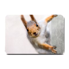 Curious Squirrel Small Doormat  by FunnyCow