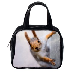 Curious Squirrel Classic Handbags (one Side) by FunnyCow