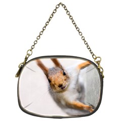 Curious Squirrel Chain Purses (two Sides)  by FunnyCow