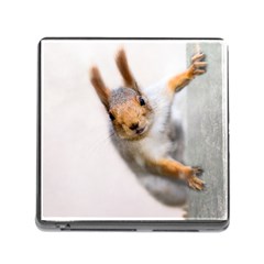 Curious Squirrel Memory Card Reader (square 5 Slot) by FunnyCow