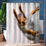 Curious Squirrel Shower Curtain 60  x 72  (Medium)  60 x72  Curtain