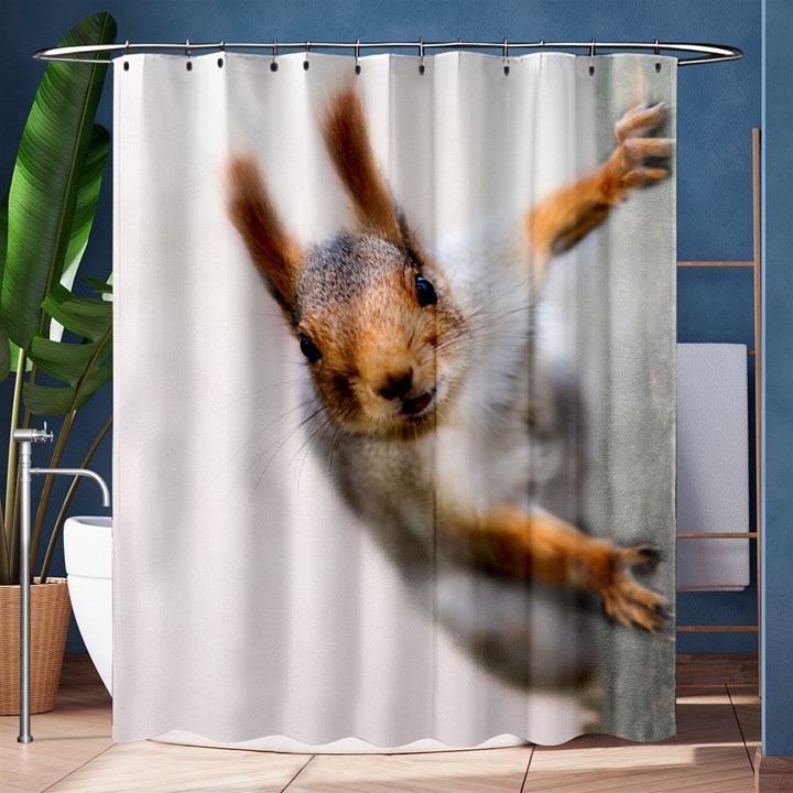 Curious Squirrel Shower Curtain 60  x 72  (Medium) 