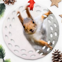 Curious Squirrel Ornament (round Filigree) by FunnyCow