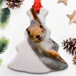 Curious Squirrel Ornament (Christmas Tree)  Front