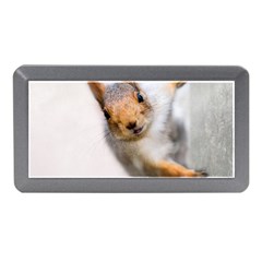 Curious Squirrel Memory Card Reader (mini) by FunnyCow