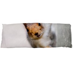 Curious Squirrel Body Pillow Case Dakimakura (two Sides) by FunnyCow