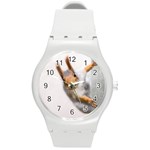 Curious Squirrel Round Plastic Sport Watch (M) Front