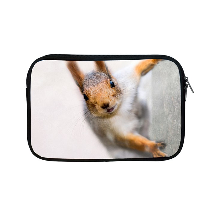 Curious Squirrel Apple iPad Mini Zipper Cases