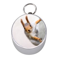 Curious Squirrel Mini Silver Compasses by FunnyCow