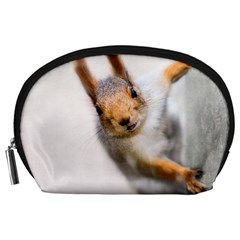 Curious Squirrel Accessory Pouches (large)  by FunnyCow