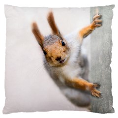 Curious Squirrel Large Flano Cushion Case (one Side) by FunnyCow