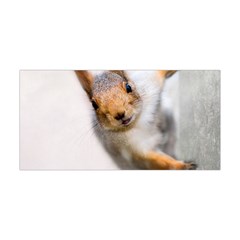 Curious Squirrel Yoga Headband by FunnyCow