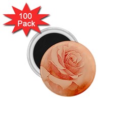 Wonderful Rose In Soft Colors 1 75  Magnets (100 Pack)  by FantasyWorld7