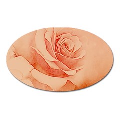 Wonderful Rose In Soft Colors Oval Magnet by FantasyWorld7