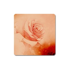 Wonderful Rose In Soft Colors Square Magnet by FantasyWorld7