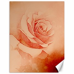 Wonderful Rose In Soft Colors Canvas 12  X 16   by FantasyWorld7