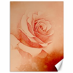 Wonderful Rose In Soft Colors Canvas 36  X 48   by FantasyWorld7