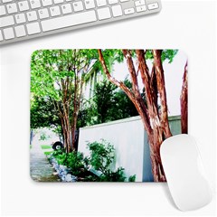 Hot Day In Dallas 40 Large Mousepads by bestdesignintheworld