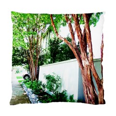 Hot Day In Dallas 40 Standard Cushion Case (two Sides) by bestdesignintheworld