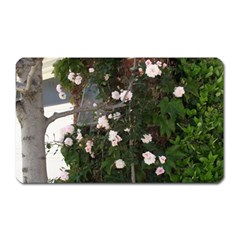 Balboa 1 Magnet (rectangular) by bestdesignintheworld