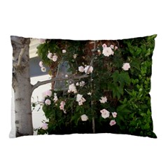 Balboa 1 Pillow Case (two Sides) by bestdesignintheworld