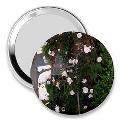 Balboa 1 3  Handbag Mirrors by bestdesignintheworld