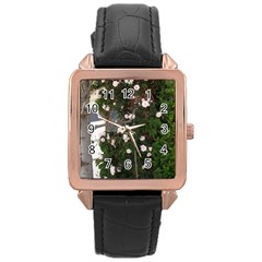 Balboa 1 Rose Gold Leather Watch  by bestdesignintheworld