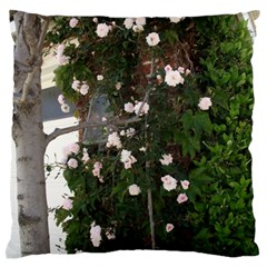 Balboa 1 Large Flano Cushion Case (one Side) by bestdesignintheworld