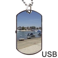 Balboa 3 Dog Tag Usb Flash (one Side) by bestdesignintheworld