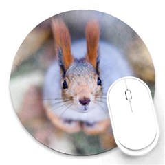 Squirrel Looks At You Round Mousepads by FunnyCow